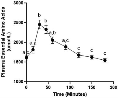 Stimulation of muscle protein synthesis with low-dose amino acid composition in older individuals